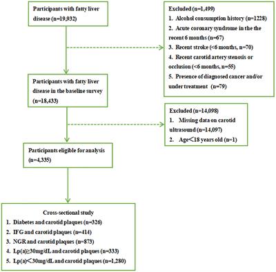 Glucose metabolism status modifies the relationship between lipoprotein(a) and carotid plaques in individuals with fatty liver disease